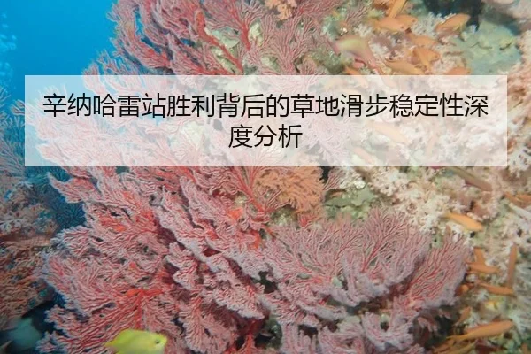 辛纳哈雷站胜利背后的草地滑步稳定性深度分析